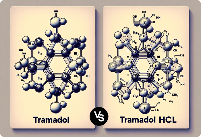 Visual representation showing the differences between the molecular structures of Tramadol and Tramadol HCL. The image on the left depicts Tramadol, while the one on the right highlights Tramadol HCL with its additional hydrochloride group.
